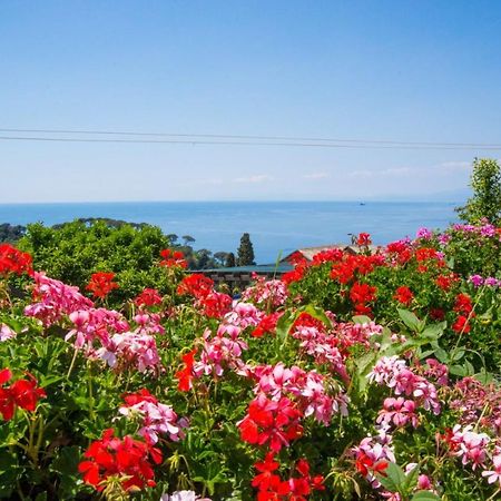 Le Clementine B&B Camogli Eksteriør billede