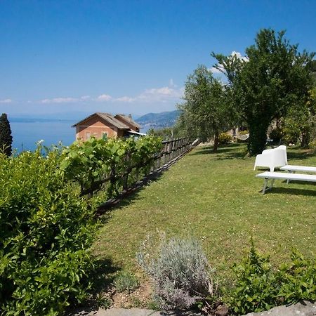 Le Clementine B&B Camogli Eksteriør billede