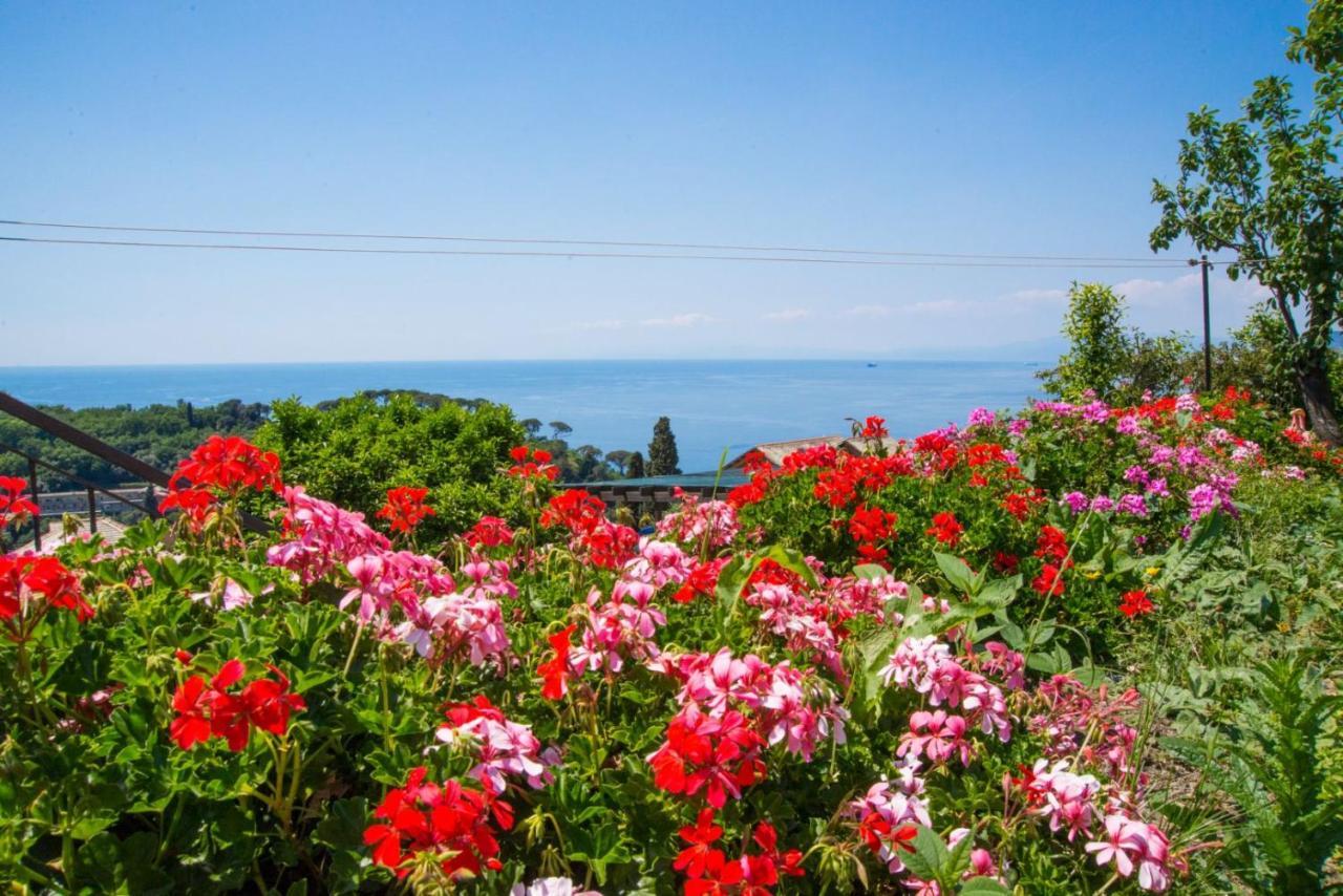 Le Clementine B&B Camogli Eksteriør billede