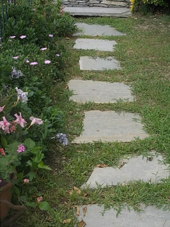 Le Clementine B&B Camogli Eksteriør billede