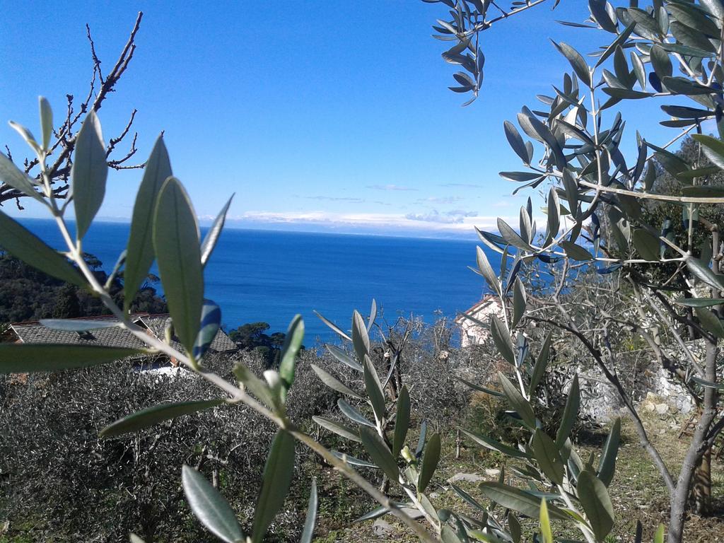 Le Clementine B&B Camogli Eksteriør billede