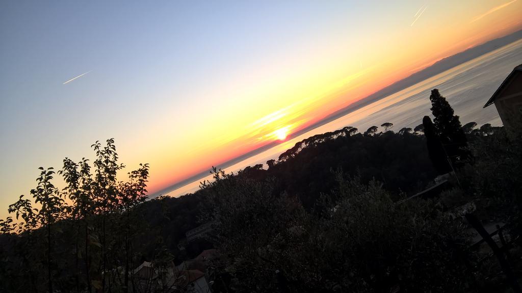 Le Clementine B&B Camogli Eksteriør billede