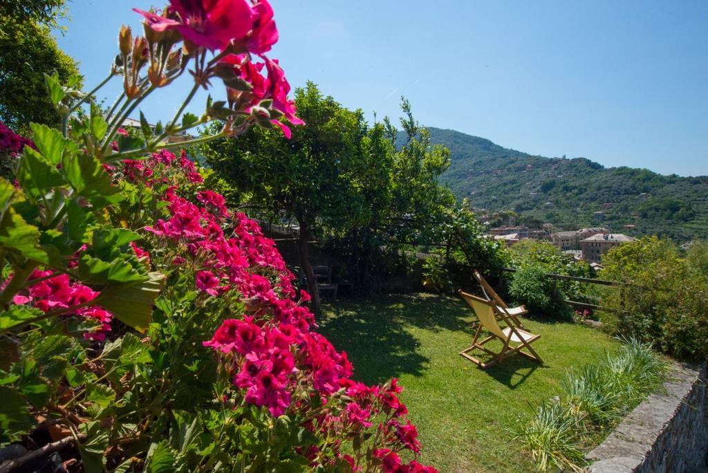 Le Clementine B&B Camogli Eksteriør billede