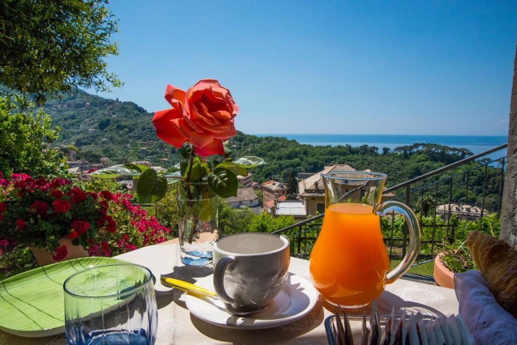 Le Clementine B&B Camogli Eksteriør billede