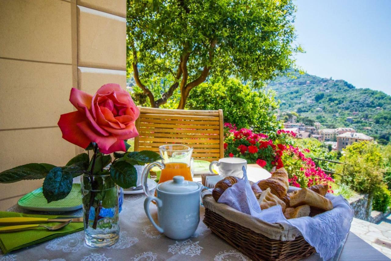 Le Clementine B&B Camogli Eksteriør billede